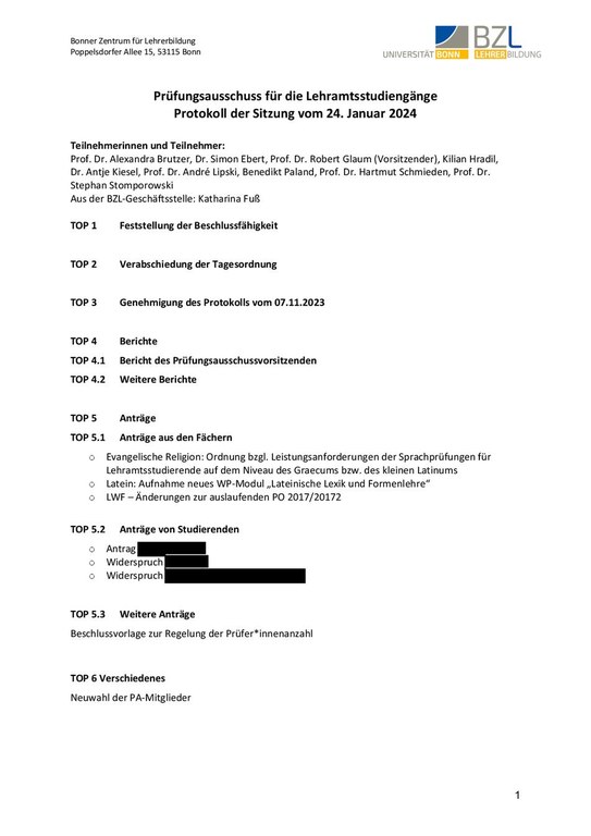 Protokoll PA 240130_Webseiten_geschwärzt.pdf