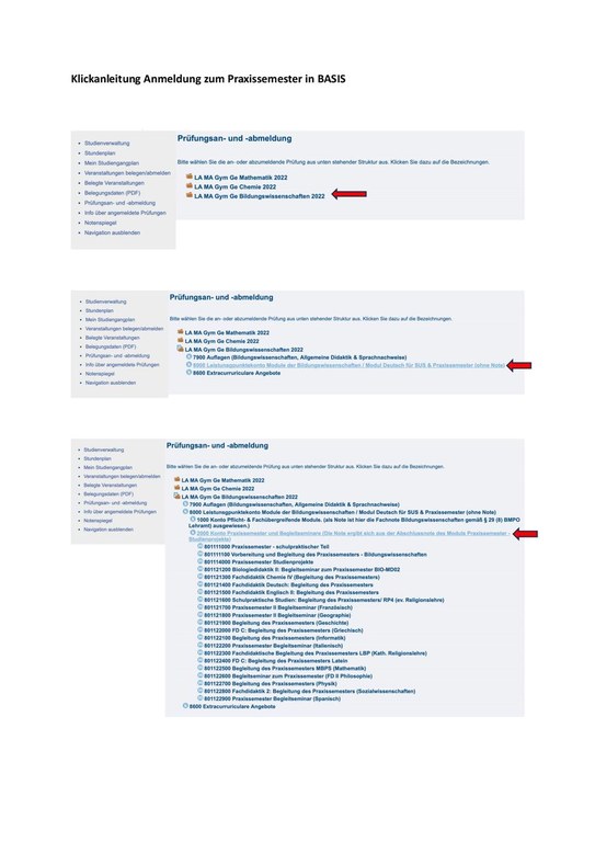 Klickanleitung Anmeldung zum Praxissemester in BASIS.pdf