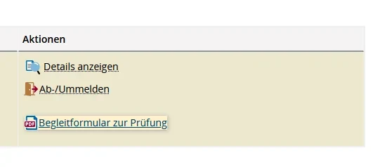 Ausgabe Begleitformular