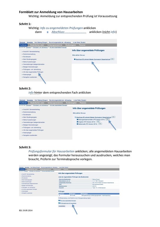 Workflow BASIS Formular Hausarbeiten 02_2016.pdf